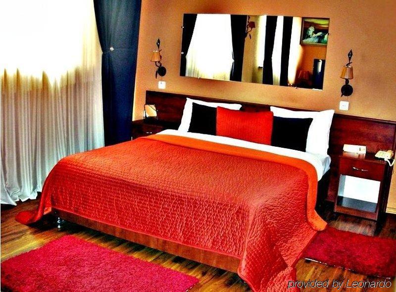 Art-Rustic Boutique Hotel Chisináu Habitación foto